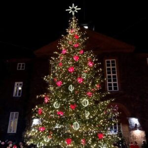 Stort juletræ med masser af lys.