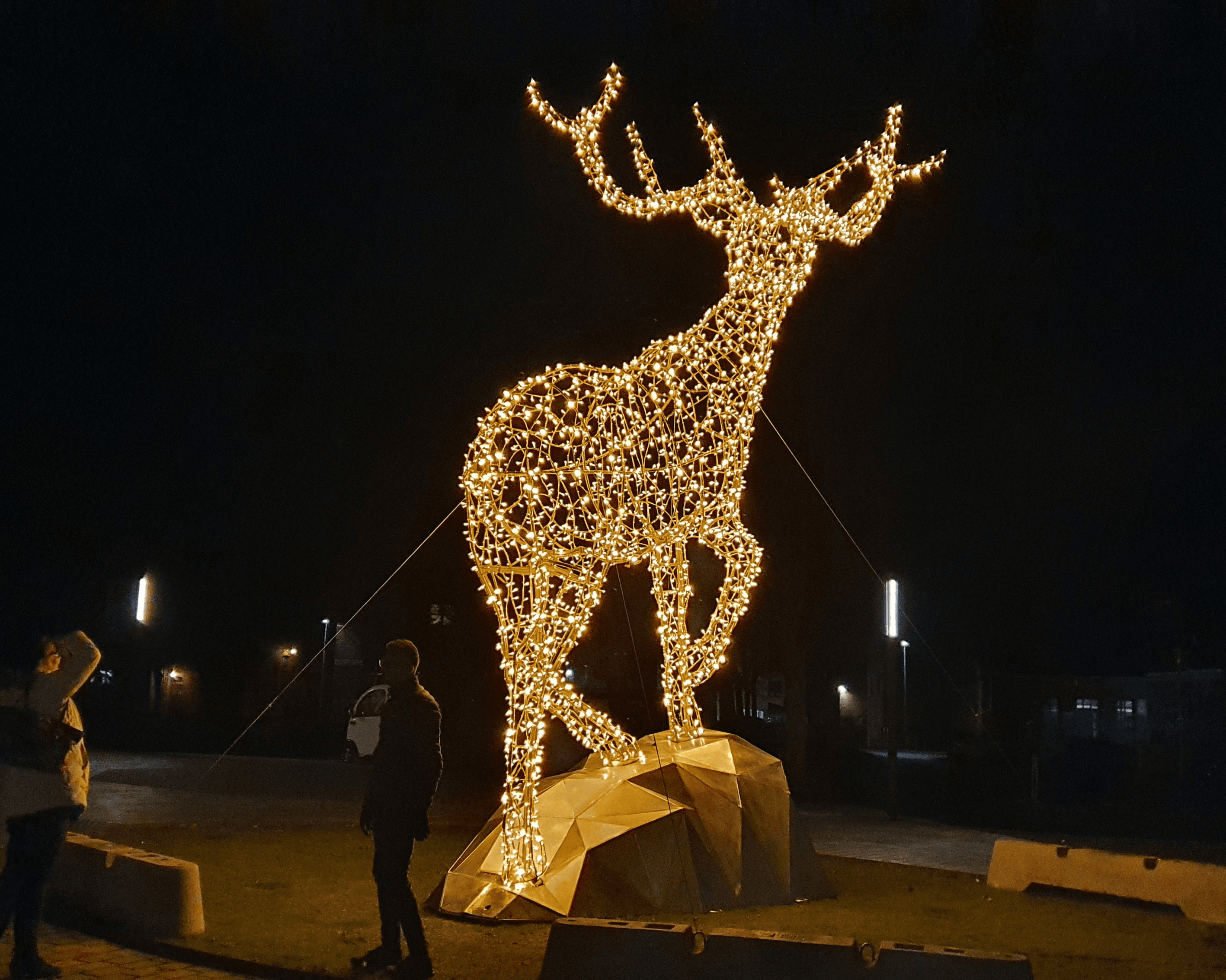 Stag on a rock, Frederikshavn